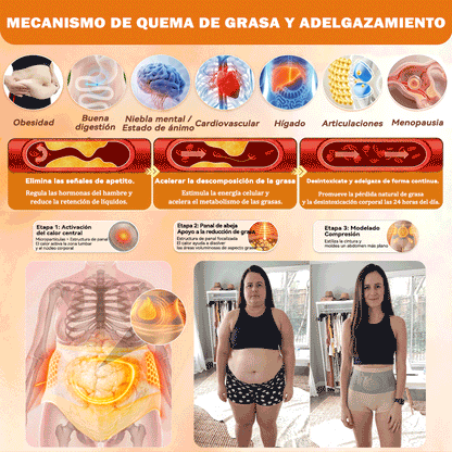 🪻💖𝐏𝐀𝐔𝐑𝐀𝐉𝐔® 𝐌𝐨𝐫𝐢𝐧𝐠𝐚 𝐘 𝐁𝐞𝐫𝐛𝐞𝐫𝐢𝐧𝐚 𝐓𝐨𝐝𝐨 𝐄𝐧 𝐔𝐧𝐨 𝐏𝐚𝐧𝐭𝐚𝐥𝐨𝐧𝐞𝐬 𝐂𝐨𝐫𝐭𝐨𝐬 𝐐𝐮𝐞𝐦𝐚-𝐆𝐫𝐚𝐬𝐚𝐬 𝐃𝐞 𝐌𝐢𝐜𝐫𝐨𝐩𝐚𝐫𝐭í𝐜𝐮𝐥𝐚𝐬✅Activa la microcirculación profunda para disolver la grasa, eliminar toxinas y revertir el envejecimiento metabólico.